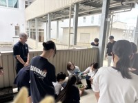 苗の植え方説明