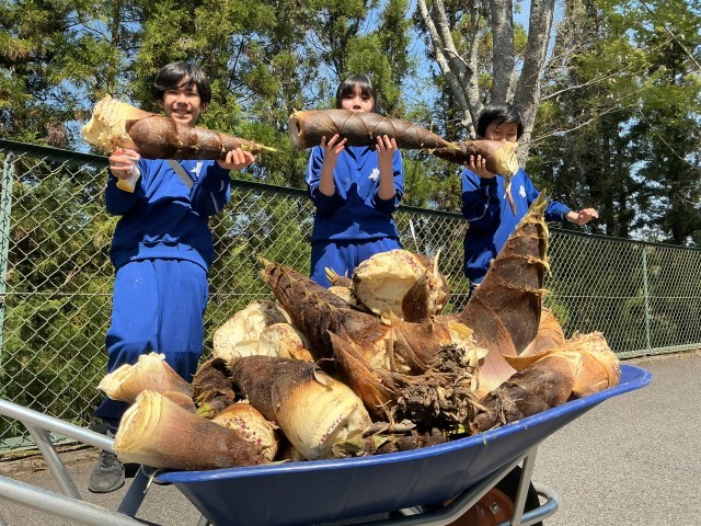 持っているのも重い筍です