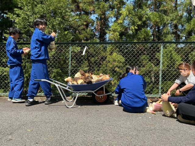 剥いだ皮は山に返します