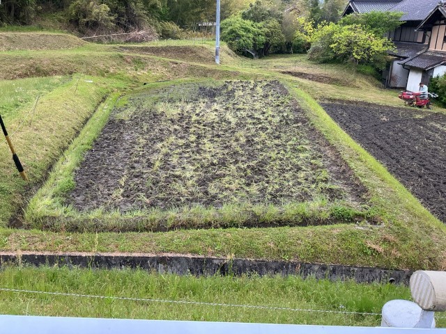 手で起こした田んぼ