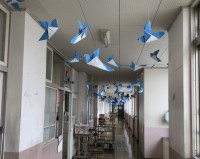 幸せを呼ぶ青い鳥：翔竜会の飾りつけ