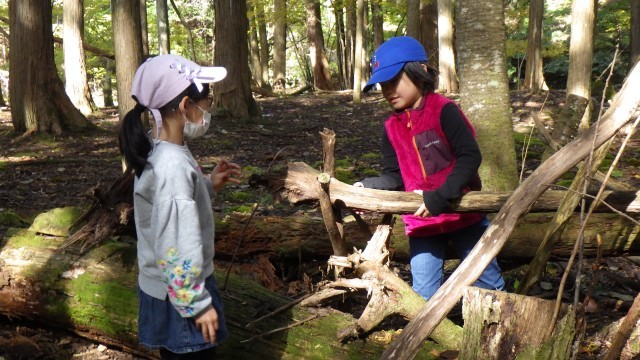 ゴンゾレトレイル