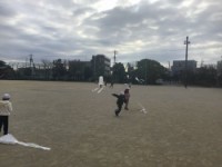 風がないと走ります！