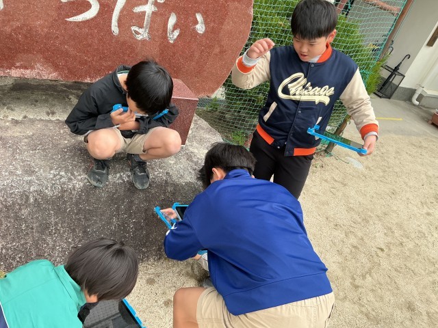 アリの巣発見！