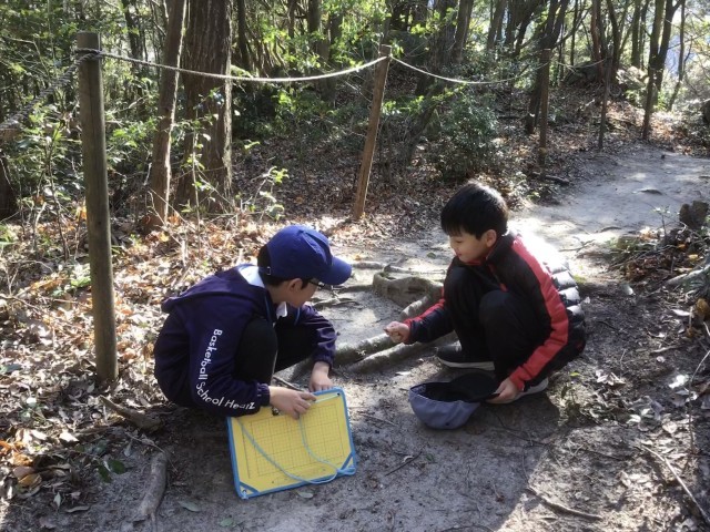 どんぐり帽子がたくさんあったよ